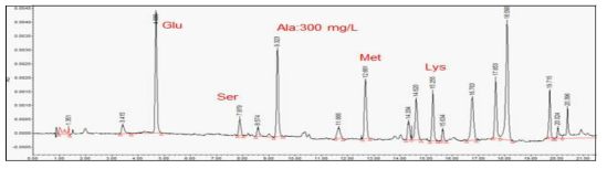 HPLC를 이용한 C. glutamicum 생산균주 배양액의 아미노산 분석 결과