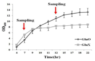 RNA sequencing을 위한 세포 성장 곡선