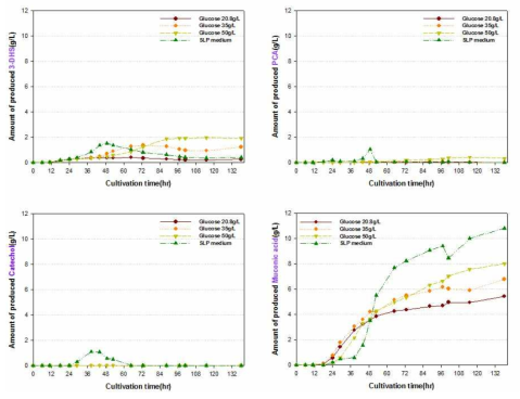 Comparison of DHS, PCA, Catechol, CCM in fermentation about variable concentration of initial glucose by C. glutamicum ATCC13032