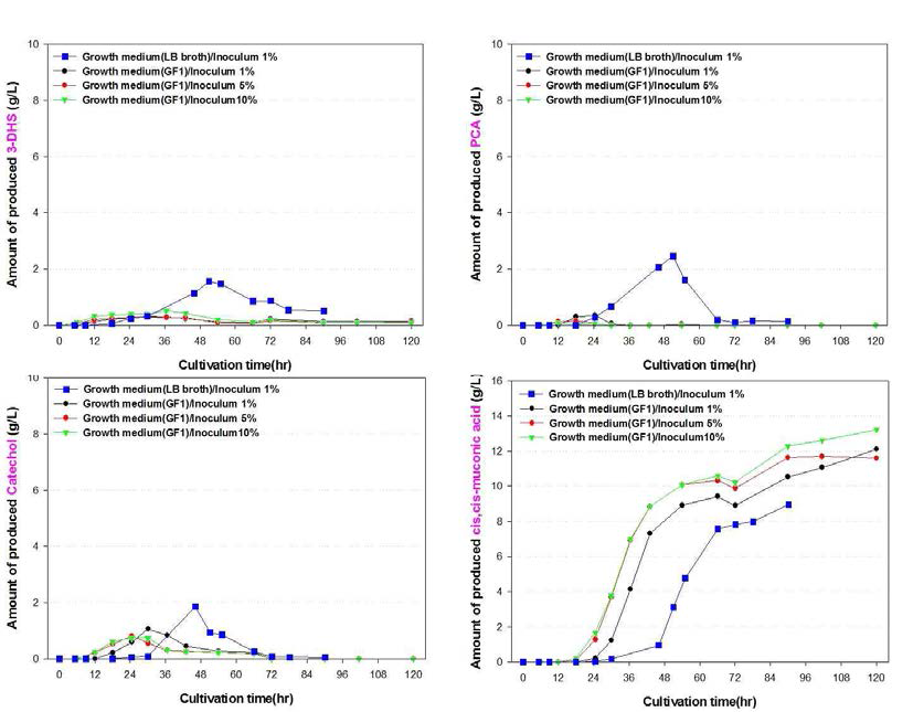 C. glutamicum ATCC 13032 △aroE△pcaGH△catB/pSK002_Psod_YBD1 균주의 접종량 비교 실험 분석 결과 비교 graph