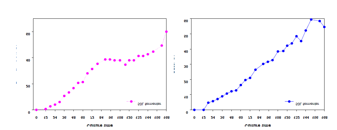 C. glutamicum ATCC13032 △aroE△pcaGH△catB/pSK002_Psod_YBD1 균주의 50L scale up 실험(ammonium sulfate (NH4)2SO4 1.3x)에 따른 배양에서 세포 농도, 뮤코닉산의 생산 비교 graph