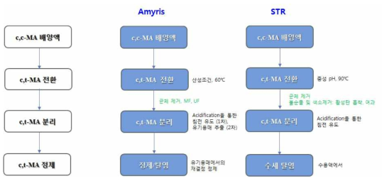 Amyris사 특허와 STR의 분리정제공정 비교