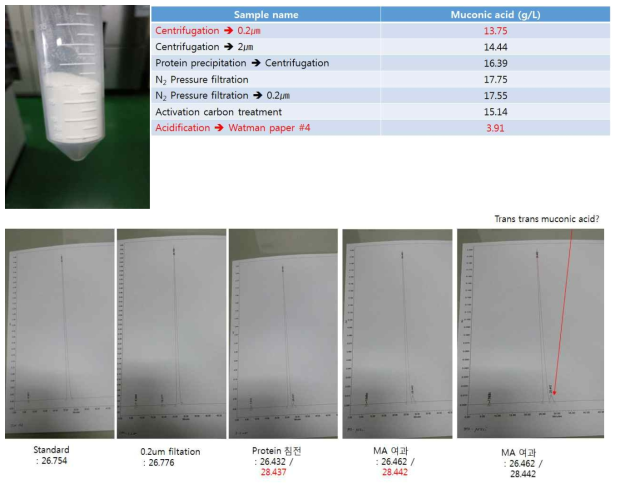 회수된 뮤코닉산 결정분말 및 공정 진행에 따른 시료 내 뮤코닉산 농도 측정을 위한 HPLC 분석