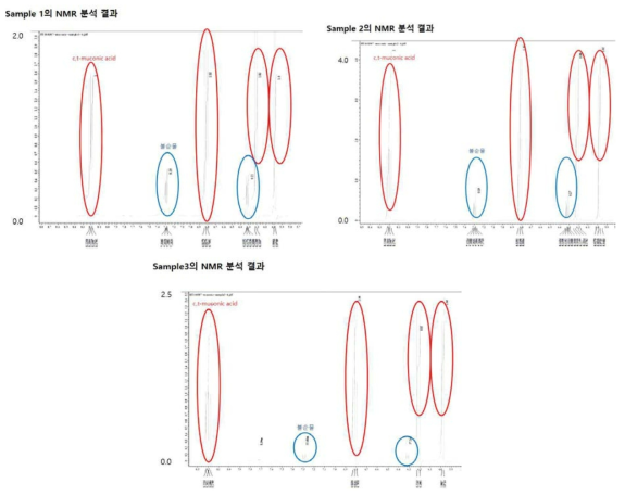 시료 1, 2, 3의 NMR 분석 결과