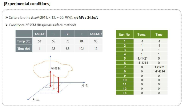 반응표면분석 실험조건