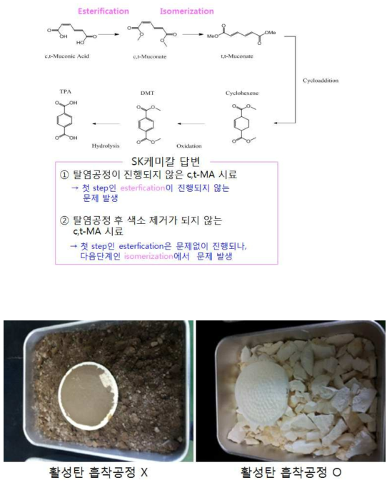 활성탄 흡착공정 유무에 따른 c,t-MA 건조분말의 색변화