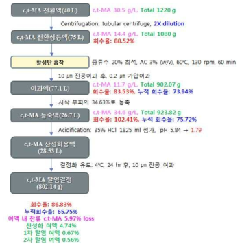 Recycle공정을 적용하지 않은 c,t-MA 분리정제공정