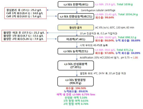 Recycle공정을 적용한 c,t-MA 분리정제공정