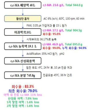 E. coli 배양액 유래의 c,c-MA의 분리정제공정 및 회수율