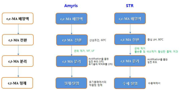 STR과 Amyris사 특허와의 분리정제공정 비교