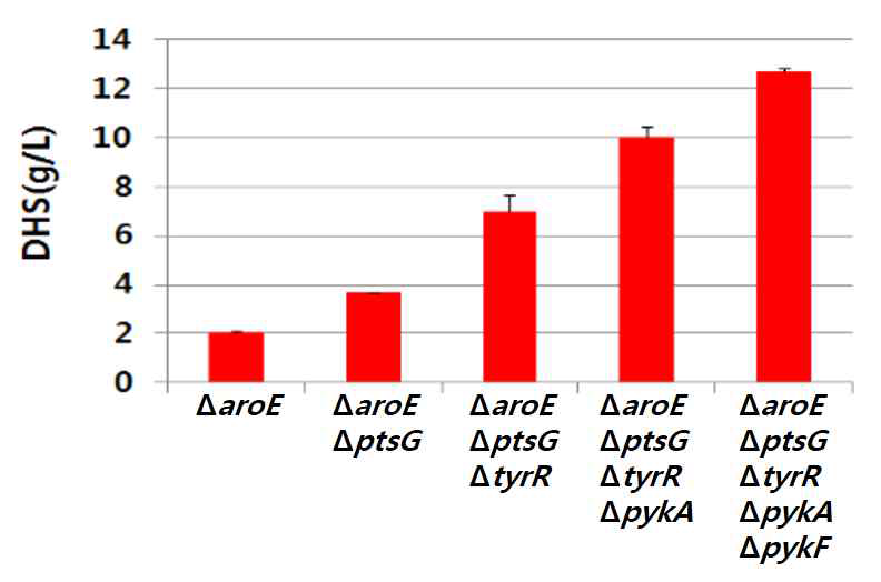 HPLC 분석에 따른 DHS 생산량.