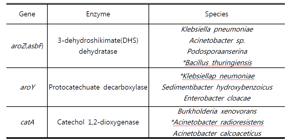 문헌과 database search를 통해 찾은 활성이 높은 muconic acid 생전환 효소군들.