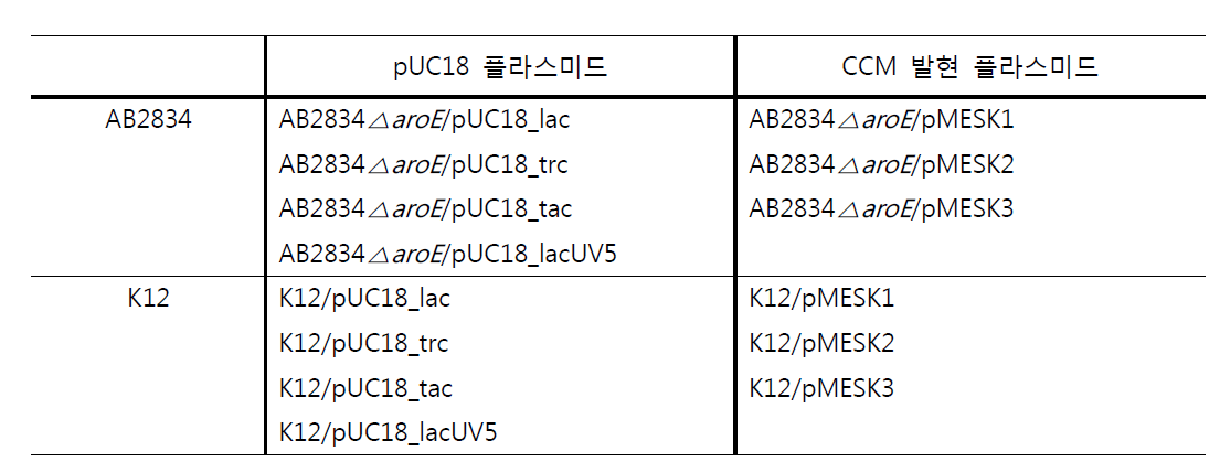 구축된 플라스미드를 E. coli AB2834와 K12에 형질전환 한 균주