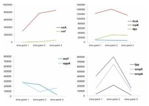E. coli 내에서 각 시간에 따른 유전자들의 발현량을 나타낸 그래프