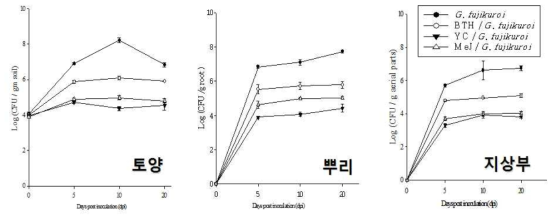 벼키다리병 병원균(F. fujikuroi)과 대조 화학물질(BTH, MeJ) 및 YC7007배양액(2 x 107 cfu/ml) 처리시 벼 근권 토양, 벼 뿌리와 지상부 줄기에서의 병원균 밀도변화