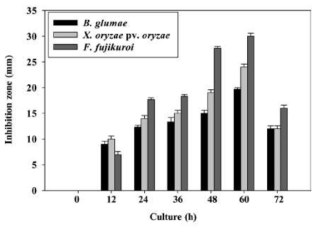 YC7007 배양 시간에 따른 배양여액의 수도 복합병 병원균(F. fujikuroi,X. oryzae pv. oryzae, B. glumae )에 대한 성장 억제 효과