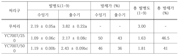 벼흰잎마름병에 대한 YC7007의 병 발병률 비교(2013년)