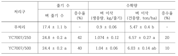 수확량 비교 결과(2013년)