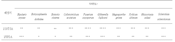 주요 식물병원 진균에 대한 항균활성 조사