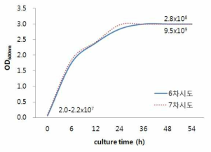 YC7007 균주의 30L 대량배양시 OD값과 균밀도 변화