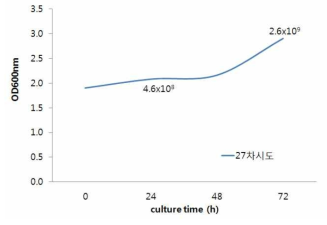 YC7007 균주의 300L 대량배양 시 OD값과 밀도 변화