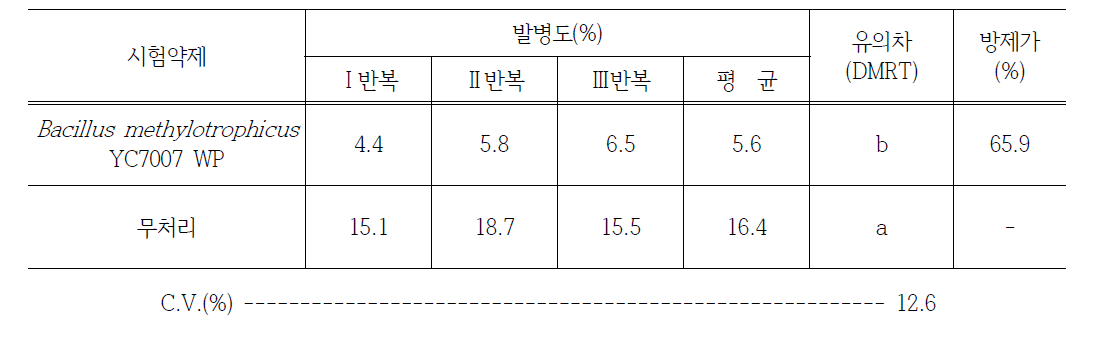 벼 흰잎마름병에 대한 포장 시험에서의 약효 시험