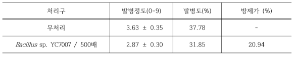 벼 흰잎마름병에 대한 포장시험에서의 약효 시험