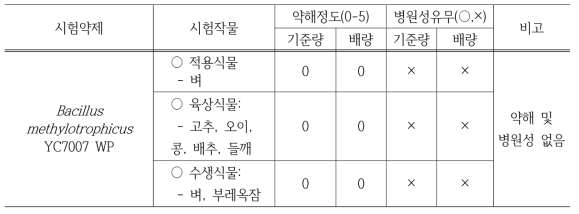 벼 및 타작물에 대한 약해 및 병원성 시험