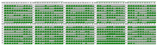 phenotype microarray 분석 결과