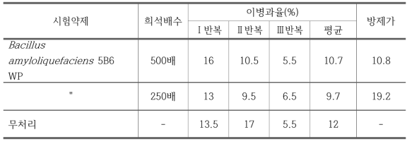 B. amyloliquefaciens 5B6 수화제의 가지 잿빛곰팡이병에 대한 약효시험 결과