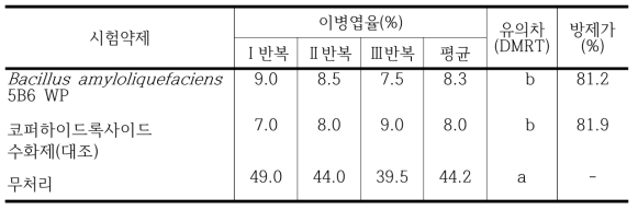 B. amyloliquefaciens 5B6 수화제의 고추 세균점무늬병에 대한 약효 시험 결과