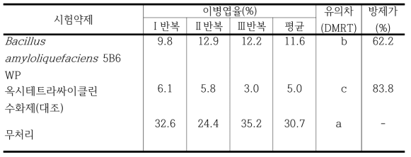 B. amyloliquefaciens 5B6 수화제의 자두 세균성구멍병에 대한 약효 시험 결과