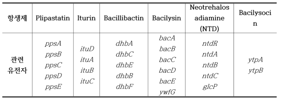 KCTC 13622 균주의 genome 분석결과 발견된 항생제 합성 유전자
