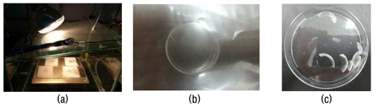 ISS-DPC 중합체(1번 중합체)의 Solution Casting 과정(a), Casting 후 확보된 시편(b), 손상된 시편(c)의 모습