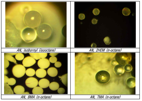 AN과 공중합체를 형성한 모노머들의 캡슐 OM image