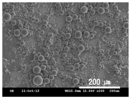 기존 현탁중합법으로 중합한 BDDMA를 가교제로 한 캡슐의 SEM micrograph