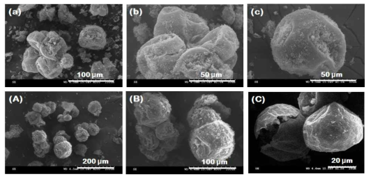 (a)-(c) : DVB와 BDDMA 동시 첨가한 캡슐의 SEM micrograph / (A)-(C) :BDDMA 단독 첨가한 캡슐 의 SEM micrograph