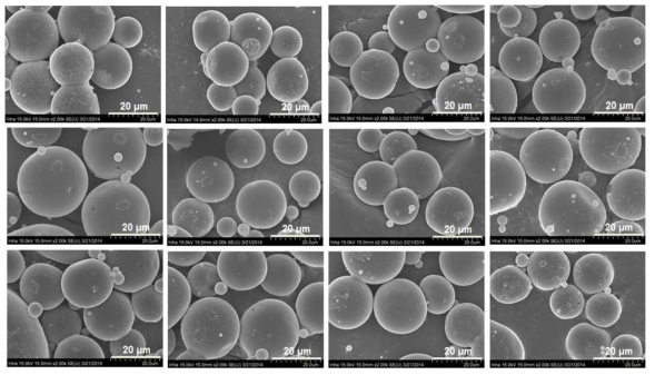 3 bar 압력 조건에서 중합 완료된 SEM micrograph]