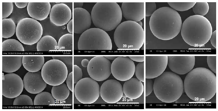 5 bar 압력 조건에서 중합 완료된 SEM micrograph