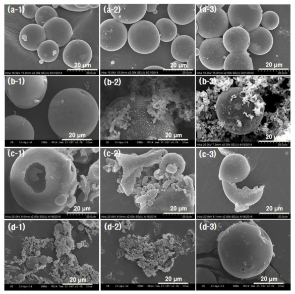 안정제 종류 별 중합된 열팽창캡슐의 SEM micrograph