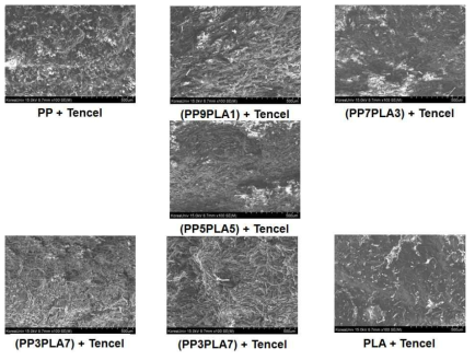 Tencel 20 wt.% 적용 PP/PLA 복합재료의 파단면 SEM