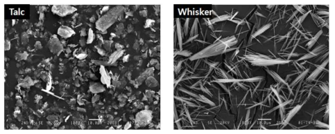 무기필러 SEM 이미지 (좌 Talc, 우 Whisker)