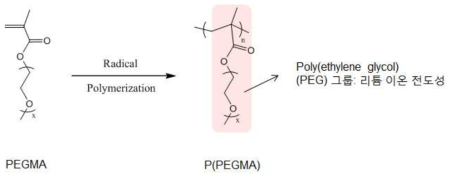 리튬 이온 전도성 고분자 P(PEGMA)의 합성 및 구조