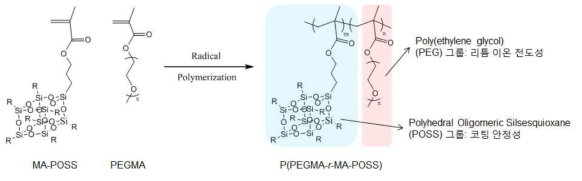유/무기 복합 리튬 이온 전도성 고분자 P(PEGMA-r-MA-POSS)의 합성 및 구조