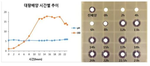 시간별 배양 시료의 pH, DO, OD600 (A) 및 항균 활성 (B)