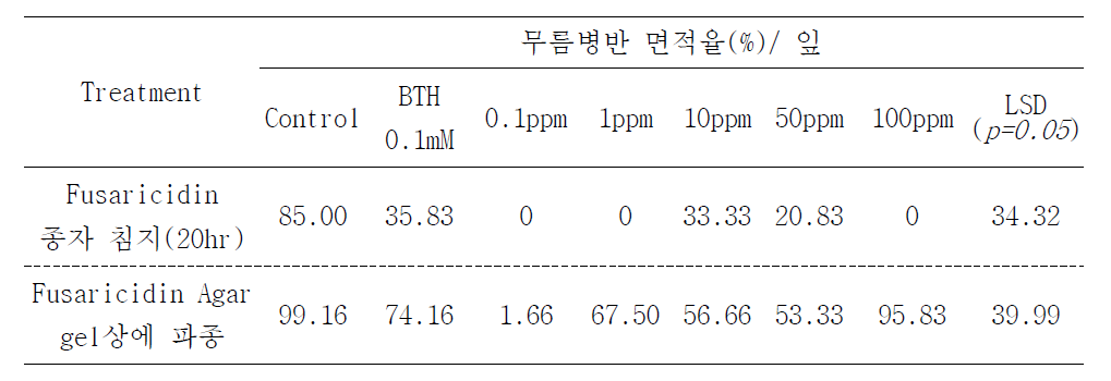 Fusaricidin 처리 방법에 따른 토마토유묘의 무름병 저항성 발현