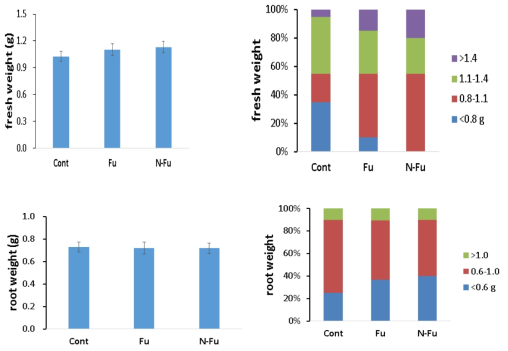서방형 후사리시딘 (N-FU) 처리에 의한 생체중과 뿌리 생육량 비교