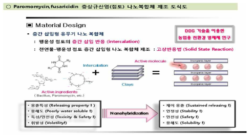 실리케이트 나노 복합체 제조 모식도