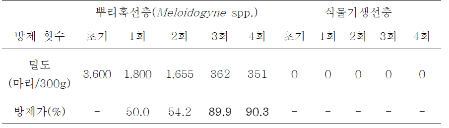 서OO님 농가 뿌리혹선충 및 식물기생선충에 대한 참선충 방제 효과