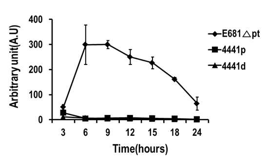 E681△pt 및 4441p, 4441d 변이균의 phosphoglucomutase 효소역가 비교분석